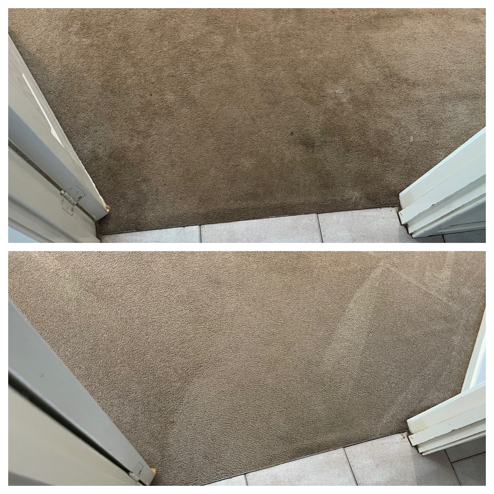 Before/after - clean carpet urine Hunter Valley NSW